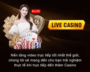 Tài liệu pháp lý về chính sách cookie